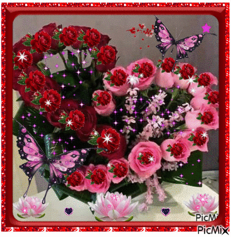 Red and pink roses. - GIF เคลื่อนไหวฟรี
