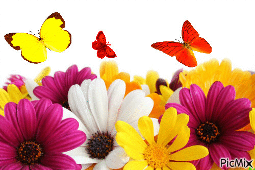 Daisies & Butterflies - Бесплатный анимированный гифка