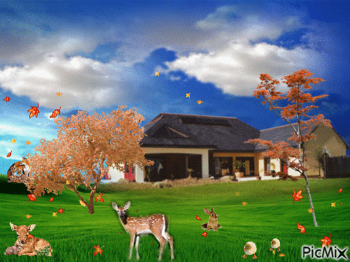 la vie 3 (automne) - Ingyenes animált GIF