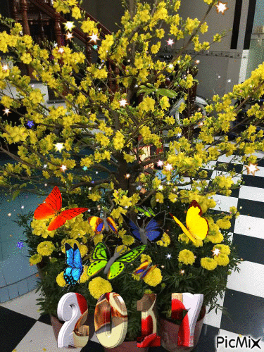 hoa mai mùa xuân - GIF animado grátis