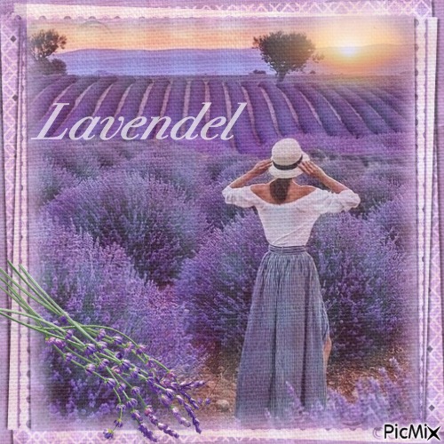 Provence - kostenlos png