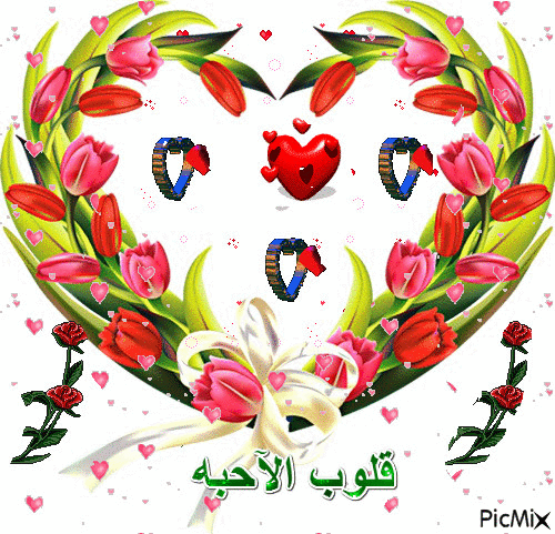 جروب قلوب الآحبه - Бесплатный анимированный гифка