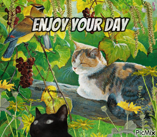Enjoy your day - Бесплатный анимированный гифка