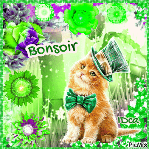 Bonsoir  les chatons - Бесплатный анимированный гифка