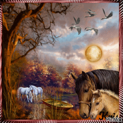 chevaux🌹🌼 - Free animated GIF
