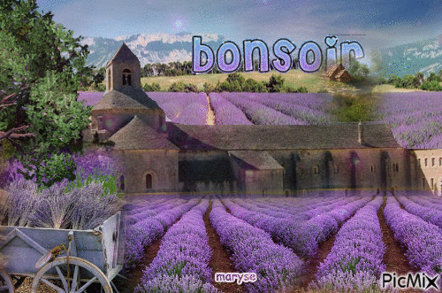 bonsoir - GIF animado grátis