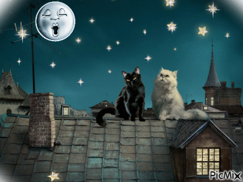 Ballade nocturne - Ingyenes animált GIF