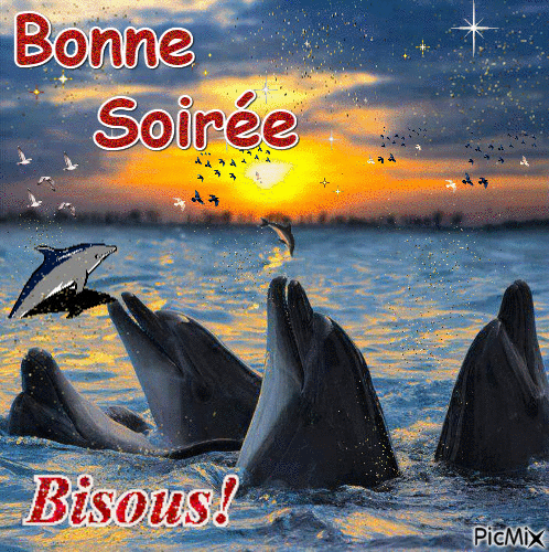 Bonne Soirée - Δωρεάν κινούμενο GIF
