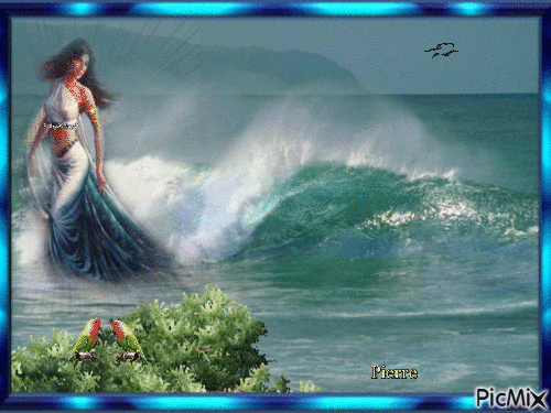 beauté sur le bord de la mer - Darmowy animowany GIF