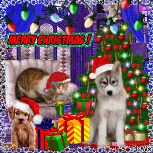 Pet's Christmas - Darmowy animowany GIF