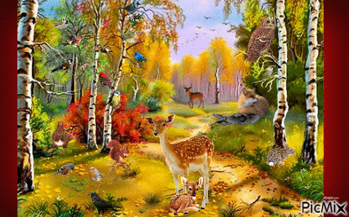 nature at its best - Free animated GIF