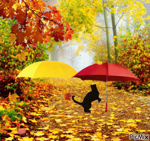 Autumn/Umbrellas/Cat/Leaves - Free animated GIF