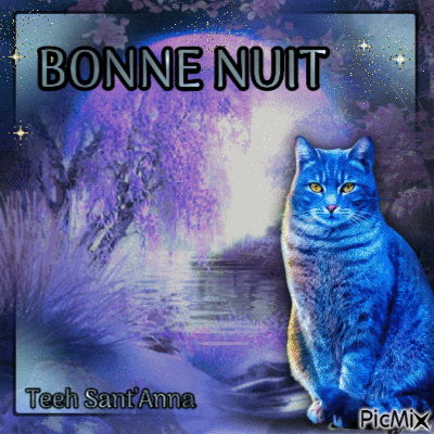 Bonne nuit Blue cat - Kostenlose animierte GIFs