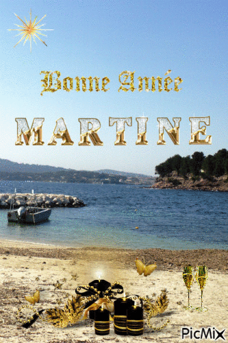 Bonne année Martine - Δωρεάν κινούμενο GIF