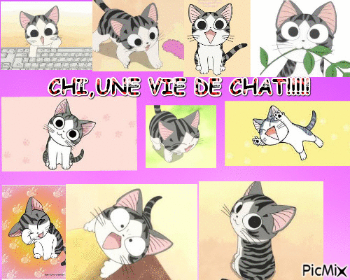 chi, vie de chat - Бесплатни анимирани ГИФ