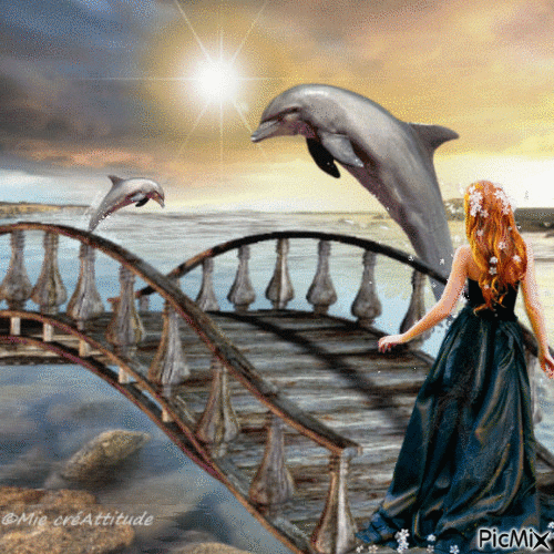Les dauphins - Ingyenes animált GIF