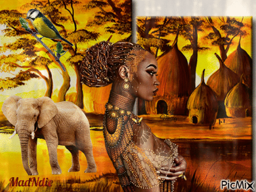 belle Afrique - Free animated GIF