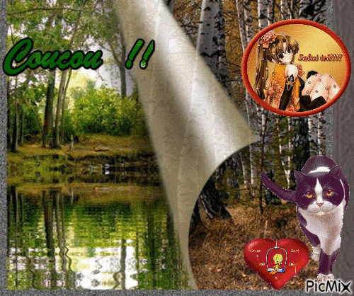 promenade dans les bois - Darmowy animowany GIF