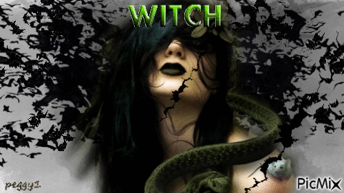 witch - Gratis animerad GIF