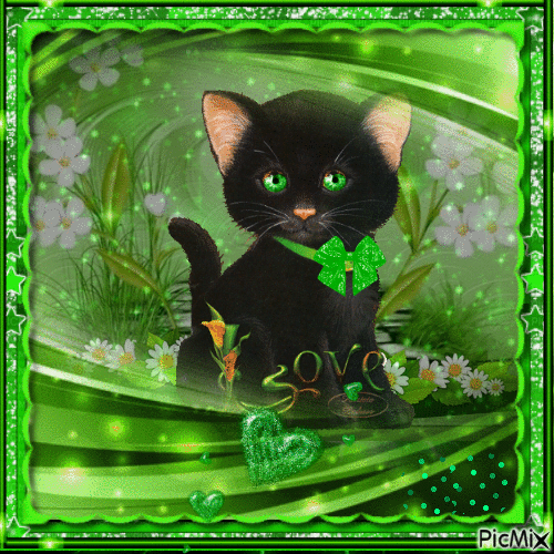 Green and cat - GIF animado gratis