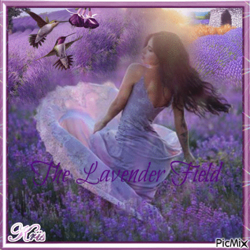 the lavender field - Ilmainen animoitu GIF