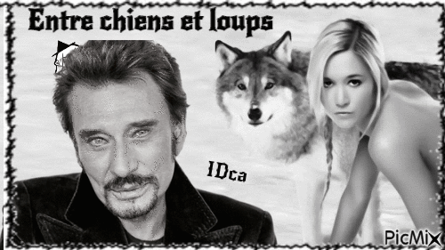 Entre chiens et loups - Darmowy animowany GIF