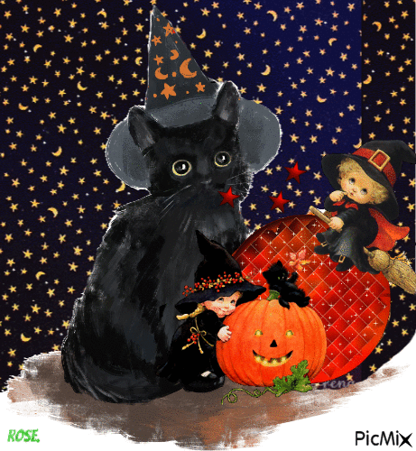Cat Black - Animovaný GIF zadarmo