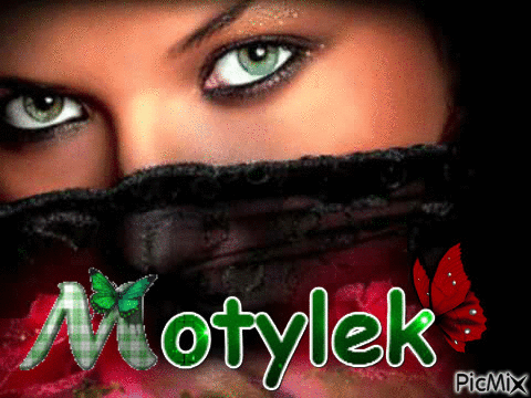 motylek - 免费动画 GIF
