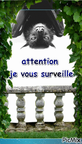 attention - Free animated GIF