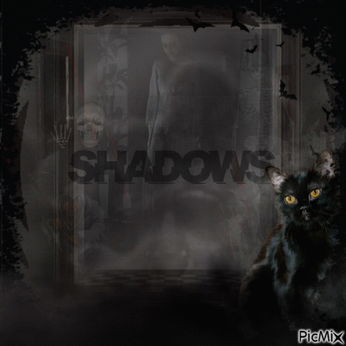 shadows - GIF animado grátis