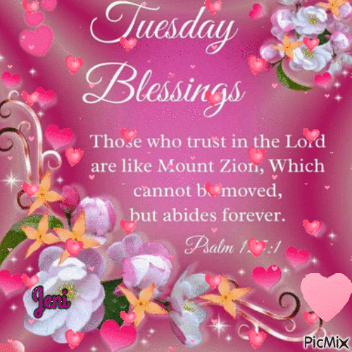 Tuesday Blessing - 免费动画 GIF