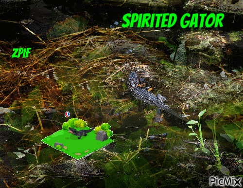 Spirited Gator - Бесплатни анимирани ГИФ