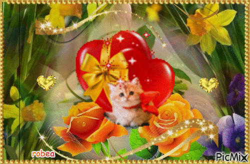 Mon beau petit chaton - Darmowy animowany GIF
