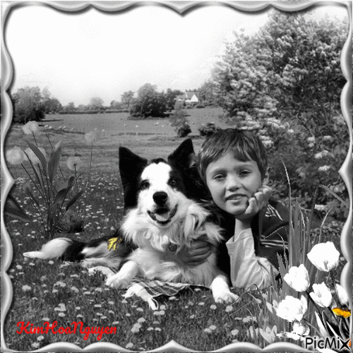 Cậu bé và chú chó  Border Collie - GIF animé gratuit