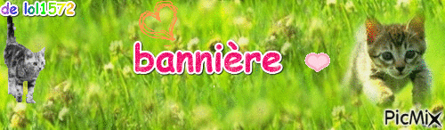 bannière - GIF animate gratis
