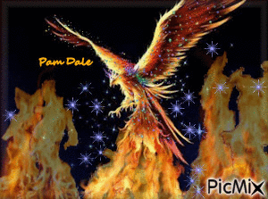 Fire Bird - GIF animate gratis