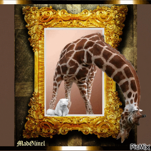 la girafe et le chat - Безплатен анимиран GIF