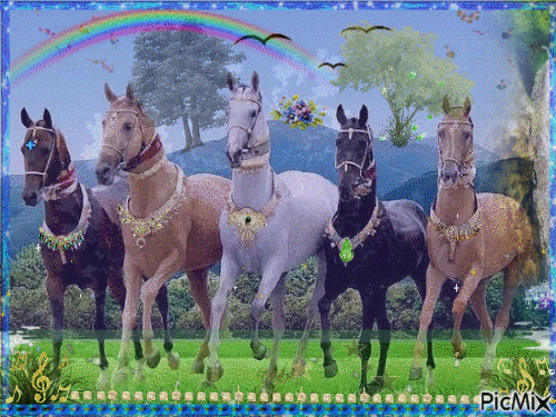 Привередливые кони. - Zdarma animovaný GIF