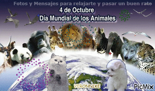 4 DE OCTUBRE DIA MUNDIAL DE LOS ANIMALES - GIF animado gratis