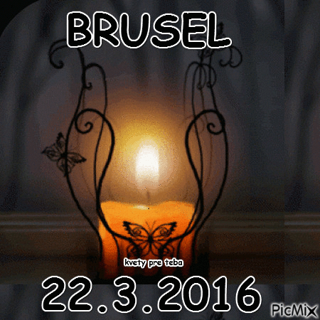 brusel - Besplatni animirani GIF
