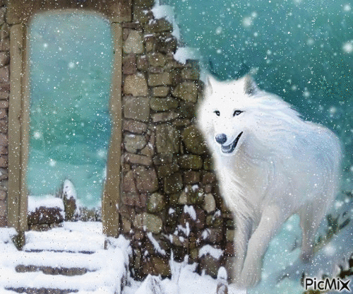 Le loup - Darmowy animowany GIF