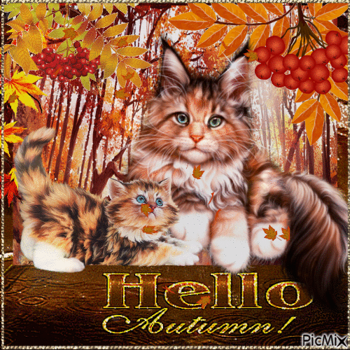 Katzenporträt im Herbst - Бесплатни анимирани ГИФ