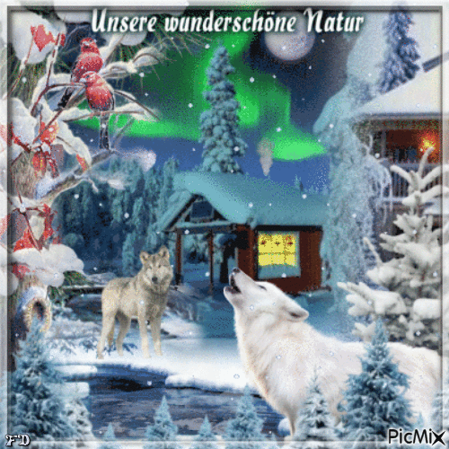 Unsere wunderschöne Natur-Polarlichter - 無料のアニメーション GIF