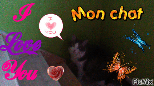 mon grizou ,mon chaton a moi - GIF animado grátis