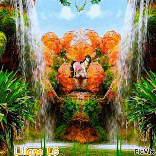 Le fier cheval près des cascades - Free animated GIF