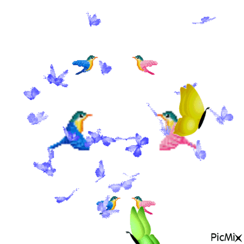 flutter - Nemokamas animacinis gif