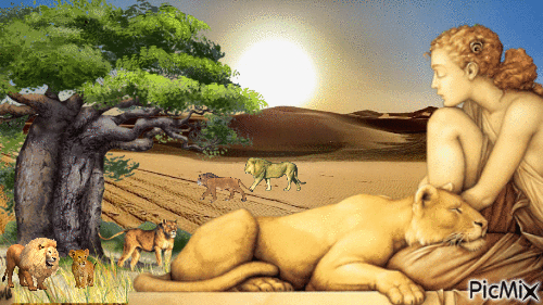 Entre leones y desirtos - GIF animado grátis