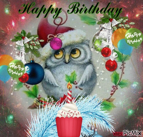 december birthday owl - безплатен png