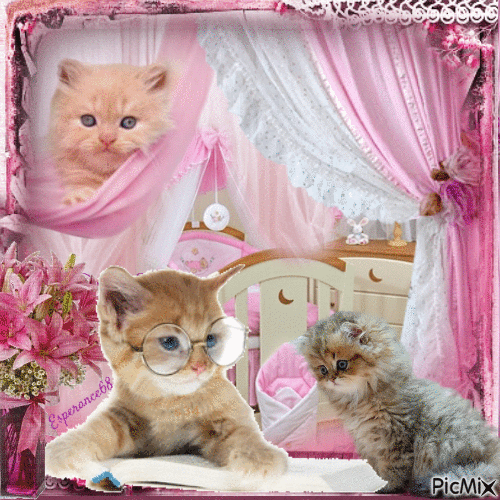 🐱 Histoire de chats 🐱 - Nemokamas animacinis gif