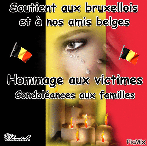 hommage aux bruxellois - Darmowy animowany GIF